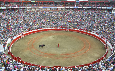 El nacimiento de una gran plaza